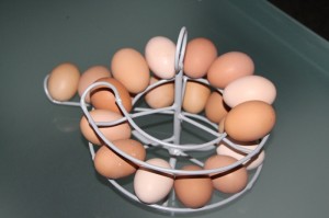 EggSkelter